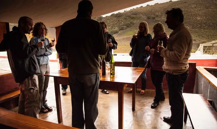 Las Palmas Shore Excursion: Private Volcanic Caldera, Teror Village and Wine-Tasting Tour