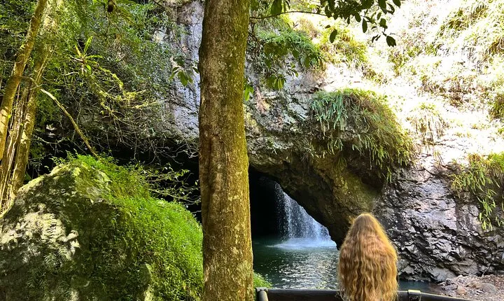 Deluxe Tamborine, Springbrook, Skywalk, Glow Worm Cave