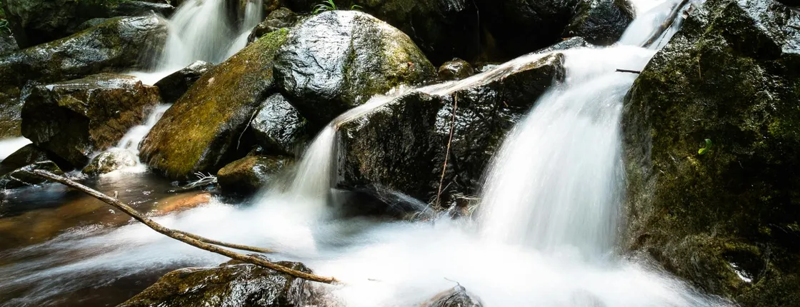 Ng Tung Chai Waterfalls Hiking Tour