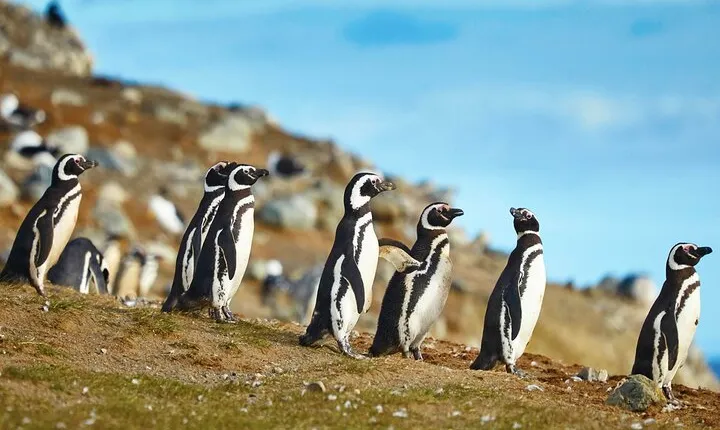 13-Day Tour Chile from North to South