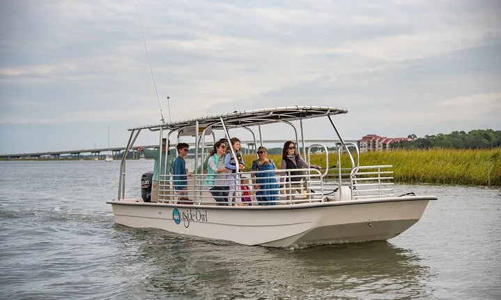 90 Minute Hilton Head Dolphin and Nature Cruise