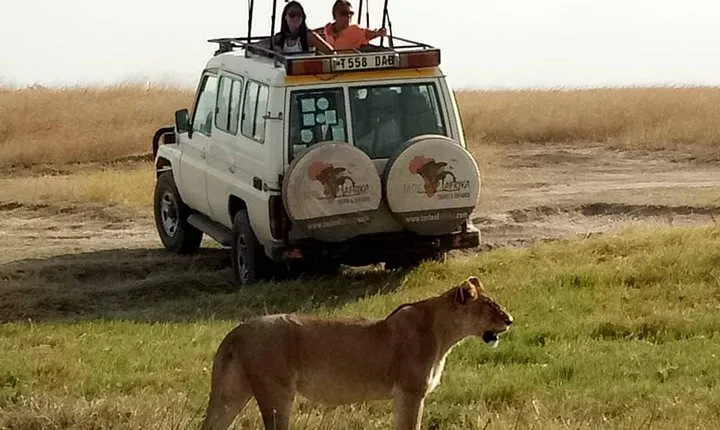 4 Days Affordable Tanzania Budget Safari