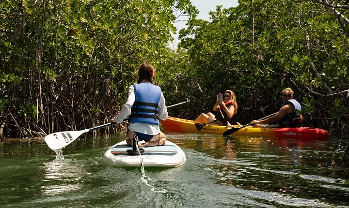 Key West Hidden Sanctuary Mangrove Kayak Tour With Drinks