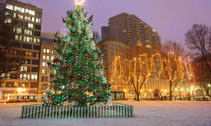 A Bostonian Christmas Private Tour
