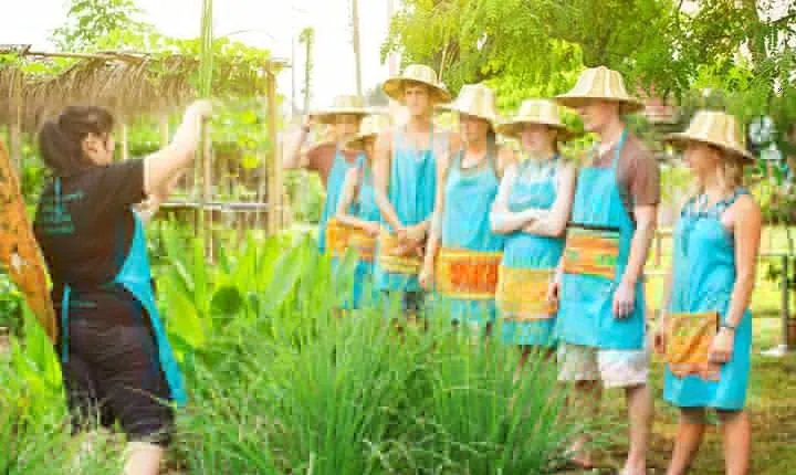 Half Day Cooking in Farm with Market Tour in Chiang Mai