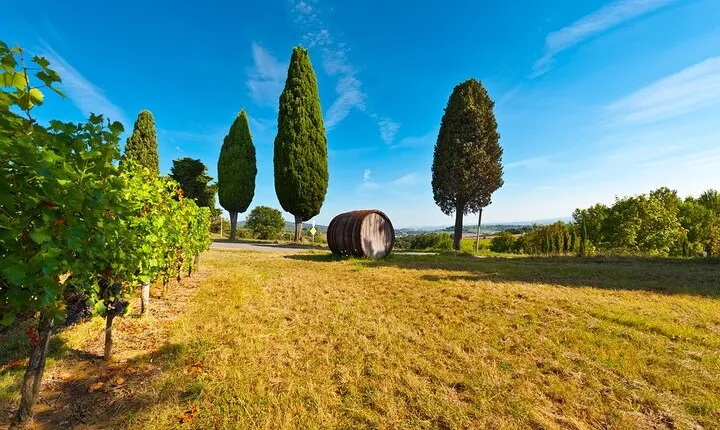 Chianti Delights: Tuscany Private Wine Tour from Florence
