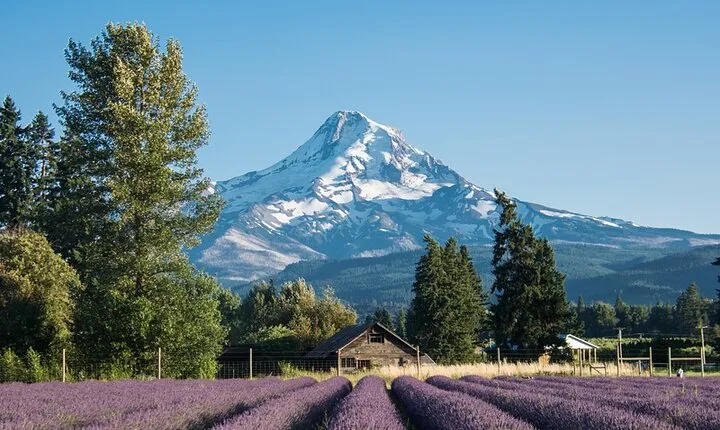 A Full Day Around Portland: City Tour + Visit the Waterfalls