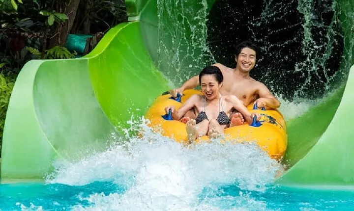 Adventure Cove Waterpark + 1 Way Transfer