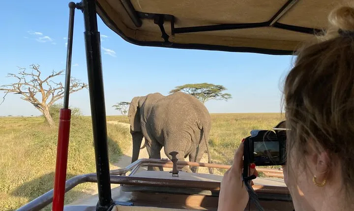 3 Days Private Budget Safari to Tarangire and Ngorongoro Crater