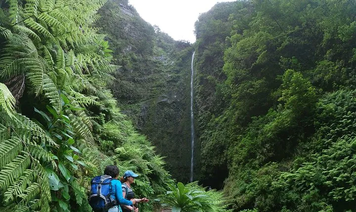 Caldeirão Verde Levada (PR 9) - Guided Madeira Levada Walk