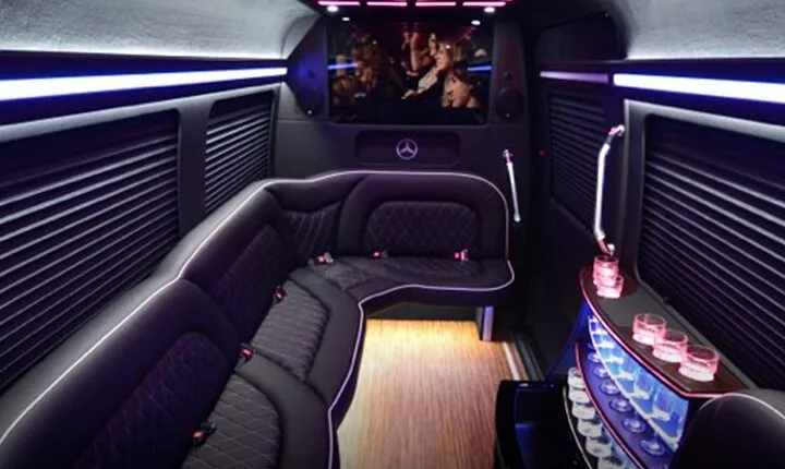 14 Passenger Luxury Sprinter Party Bus Ft Lauderdale 3 hour