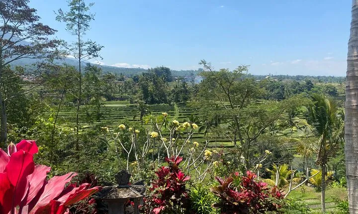 Full Day Bali Scooter Tour