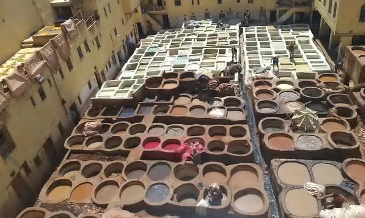  A Unique Experience In Fez With A Guide And A Driver (Full Day)
