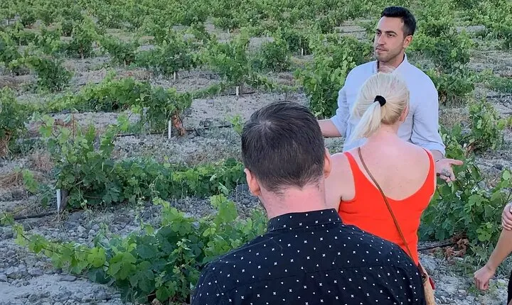 Santorini Uncorked A Grape Escape into Wine Paradise