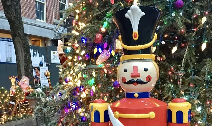 Private New York Christmas Tour with Driver and Guide