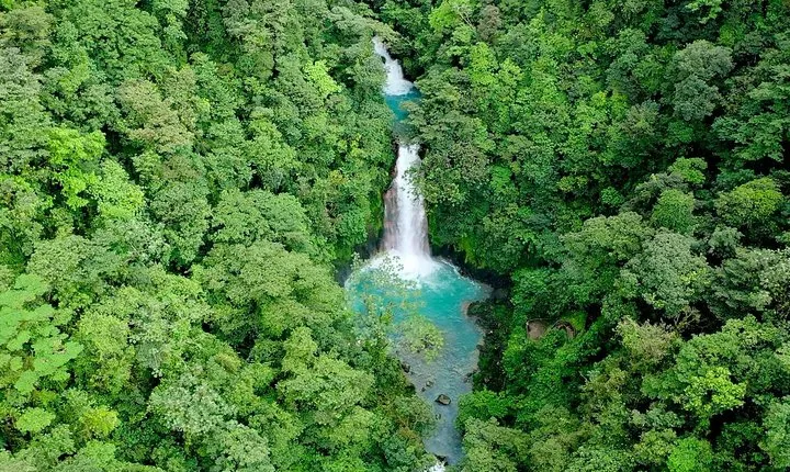 Rainforest Hiking, Sloth & wild life sanctuary, Celeste Waterfall Private Tour