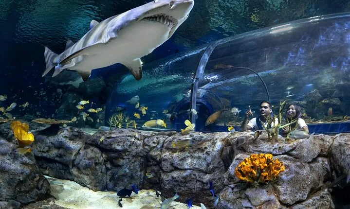 Mauritius Odysseo Oceanarium in Port Louis