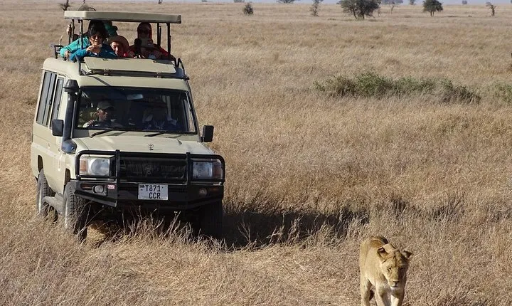 3 Days Serengeti and Ngorongoro Crater Safari