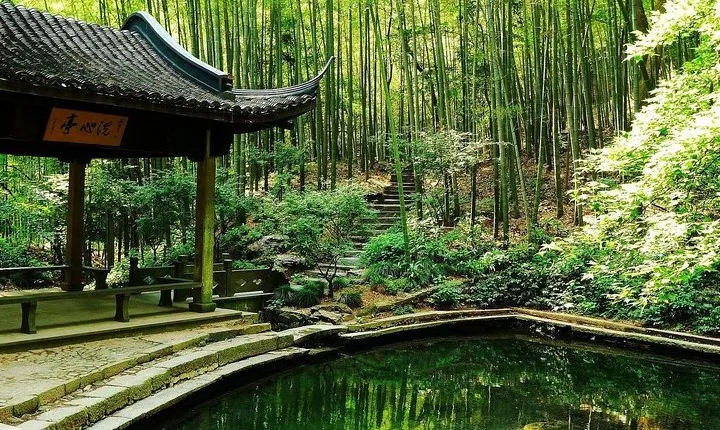 Yunxi Bamboo Forest and West Lake Private Day Tour with Tea Plantation Experience