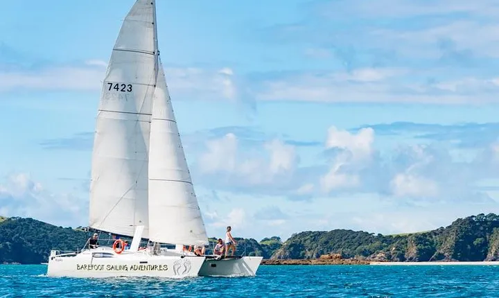Island Hopper Day Cruise - sailing to wildlife sanctuary island - 6 hr cruise