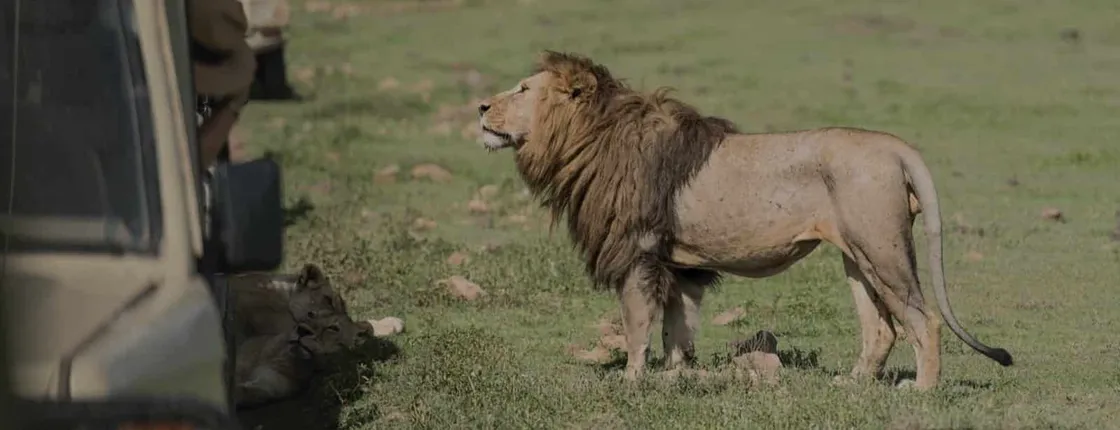 Tanzania: Serengeti to Zanzibar