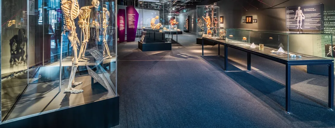 BODY WORLDS Berlin entrance tickets