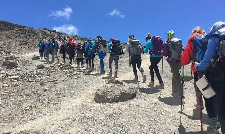 8 Day Private Kilimanjaro Climb via Lemosho Route