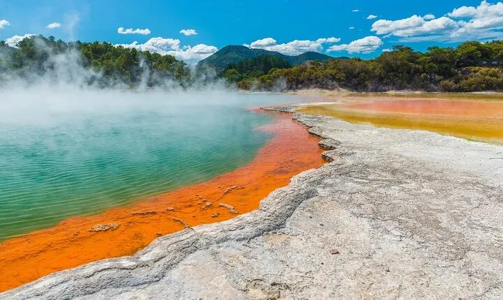 Private Tour Rotorua Waiotapu Redwood Forest and Polynesian Spa
