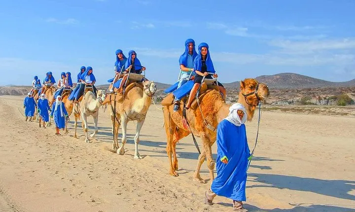 From Agadir or Taghazout or Port 2 Hours Camel Ride