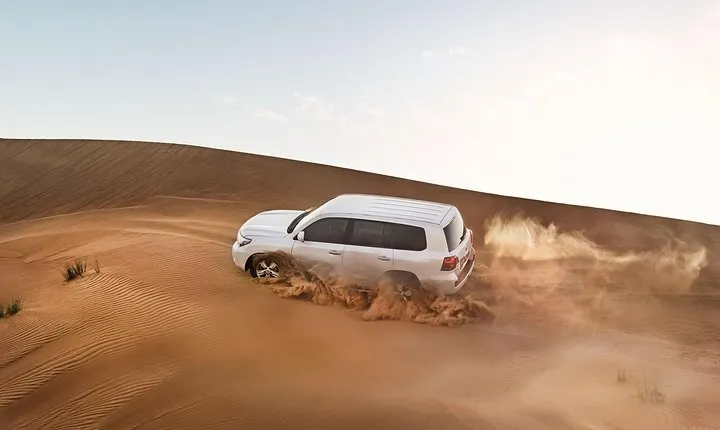 Red Dune Desert Safari with BBQ Dinner, Sand Boarding Dance Shows
