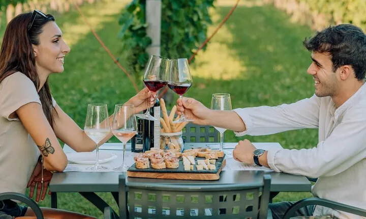 Wine and Food Tasting in the Vineyards in Lazise