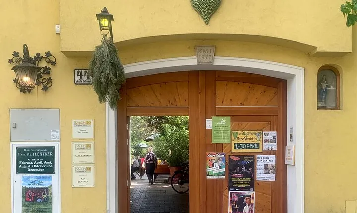 Private Tour to Vienna’s Best Wineries