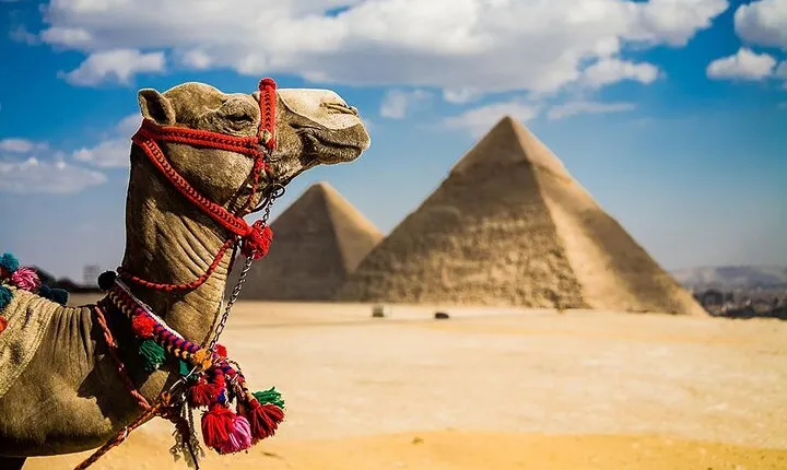 Enjoy {8} Nights-Cairo,Pyramids,Cruise,Luxor,Aswan,Tours&Abu Simbel From Cairo 