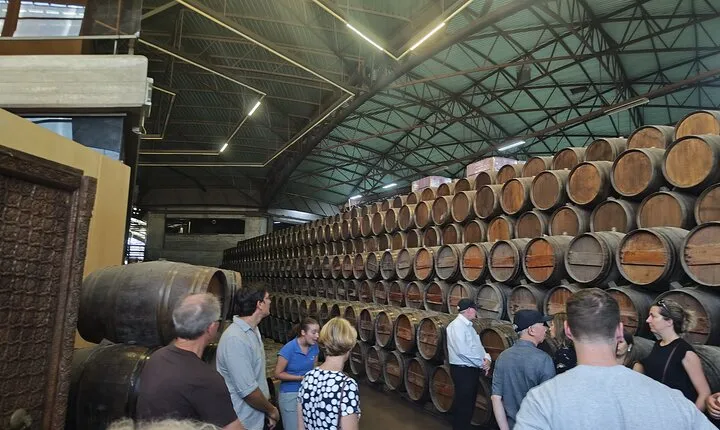 Wine Tour, discovering the famous Setúbal Moscatel