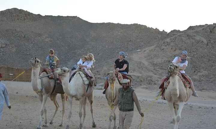 Family Buggy Car Safari & Camel Ride with Transfer - Marsa Alam