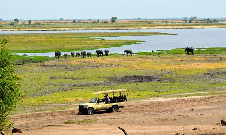 Chobe National Park Game Drive, Botswana