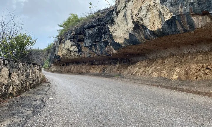 Tour in North and South Bonaire Guided