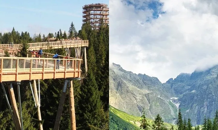 From Kraków: Slovakia Treetop Walk Bachledka and Zakopane