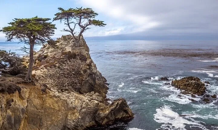 Monterey, Carmel, 17 Mile Drive, Bixby Bridge 5 hrs from Monterey