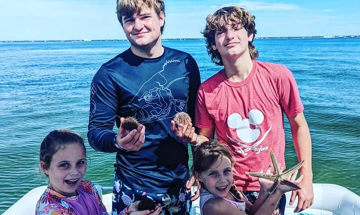 3 Hour Dolphin Private Guided Tour By A Marine Biologist