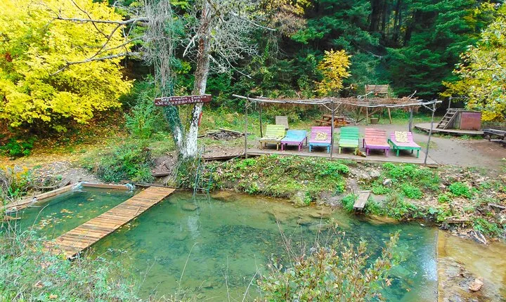 Private Day Tour From Athens to Pavliani Forest Park Trek