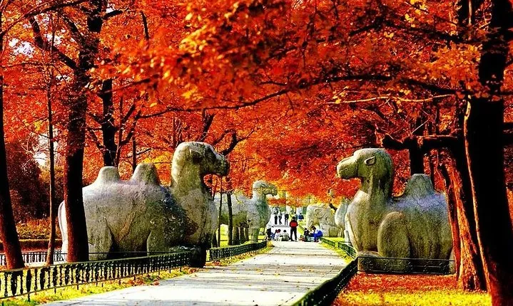 Nanjing City Private Customized Day Tour with Lunch