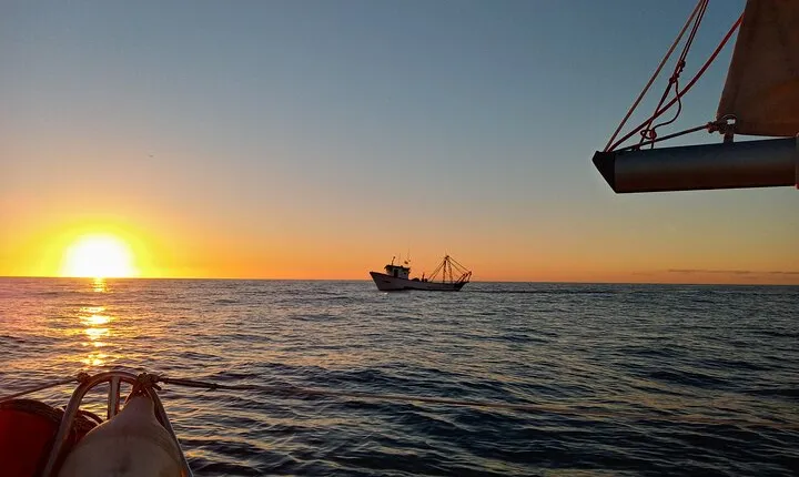 Small Group - Sailing trip - Costa del Sol - Max. 5 people