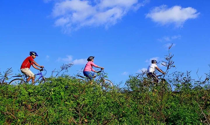 Half Day Village Cycling Tour in Yala: