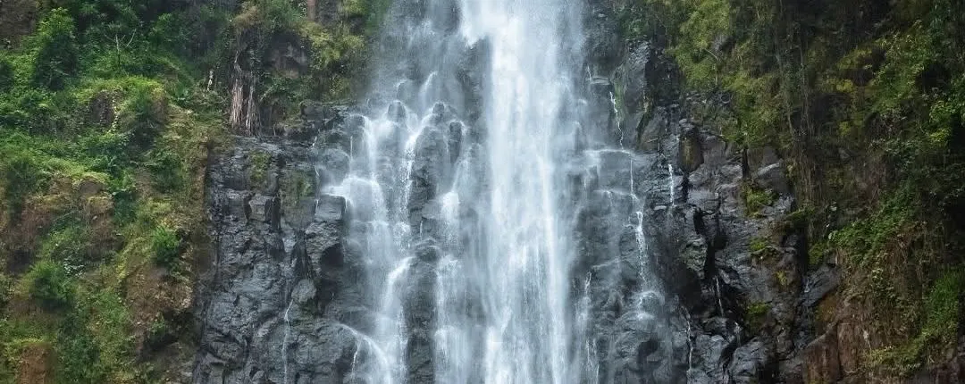 From Arusha: Materuni Village and Waterfall Day Tour