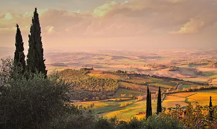 Montalcino and Pienza Tour from Rome