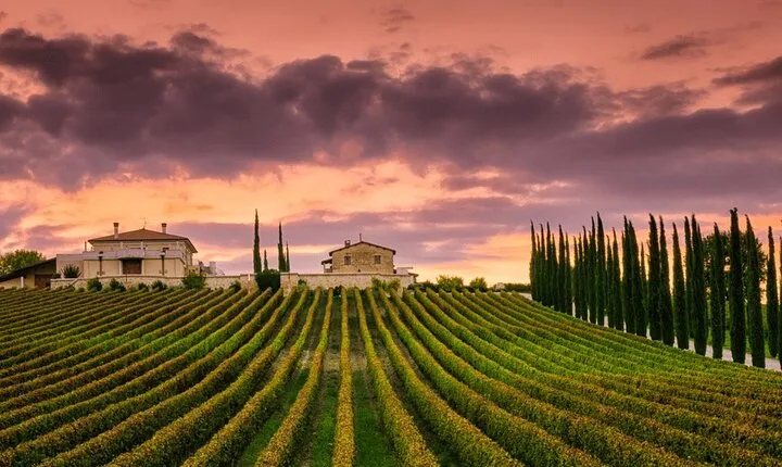 from Rome Montepulciano and Montalcino, the Wine Routes