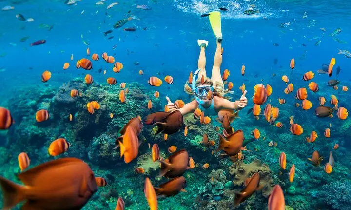 Snorkelling and Diving in Samadai Reef from Marsa Alam