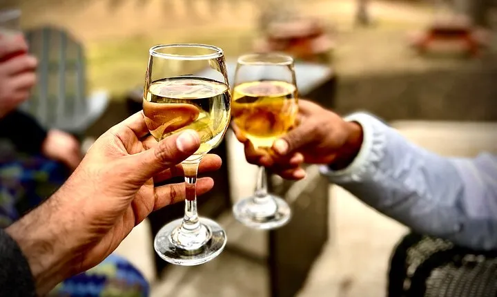 Elijay Hike w/ Waterfall & Wine Tasting Private Tour from ATL