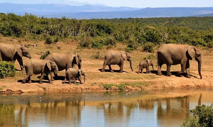 2 Days Tarangire & Ngorongoro Crater Safari Tour Tanzania